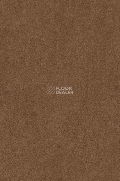 Ковролин AW Masquerade Kai 84 фото 1 | FLOORDEALER